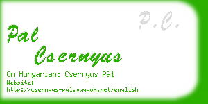 pal csernyus business card