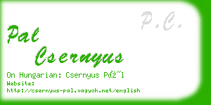pal csernyus business card